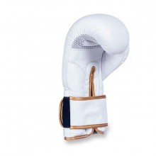 Boxerské rukavice DBX Bushido DBD-B-2, 12 oz