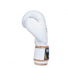Boxerské rukavice DBX Bushido DBD-B-2, 14 oz