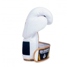 Boxerské rukavice DBX Bushido DBD-B-2, 14 oz