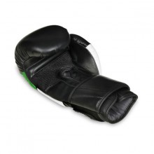 Boxerské rukavice DBX Bushido B-2 V6, 12 oz