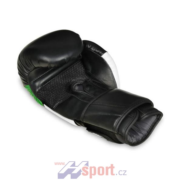 Boxerské rukavice DBX Bushido B-2 V6, 12 oz