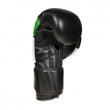 Boxerské rukavice DBX Bushido B-2 V6, 12 oz
