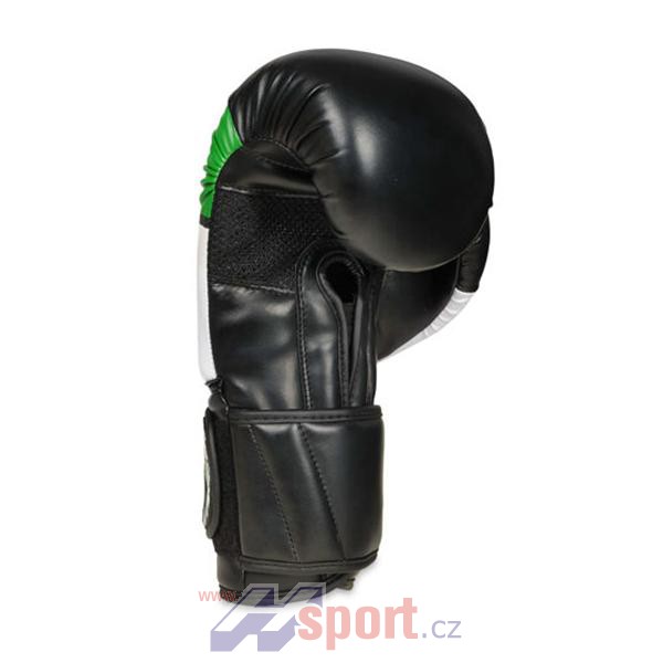 Boxerské rukavice DBX Bushido B-2 V6, 12 oz