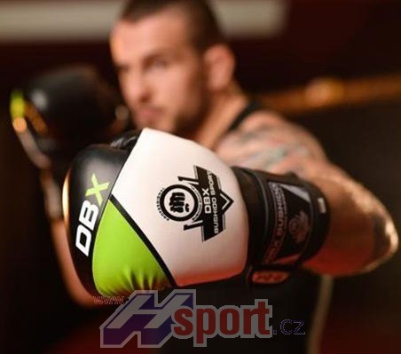 Boxerské rukavice DBX Bushido B-2 V6, 12 oz