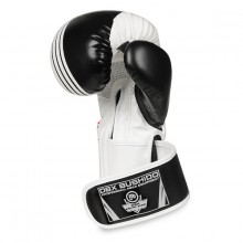 Boxerské rukavice DBX Bushido B-2 V3A, 12 oz