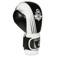 Boxerské rukavice DBX Bushido B-2 V3A, 12 oz
